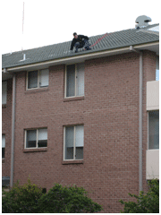 Strata Gutter Cleaning