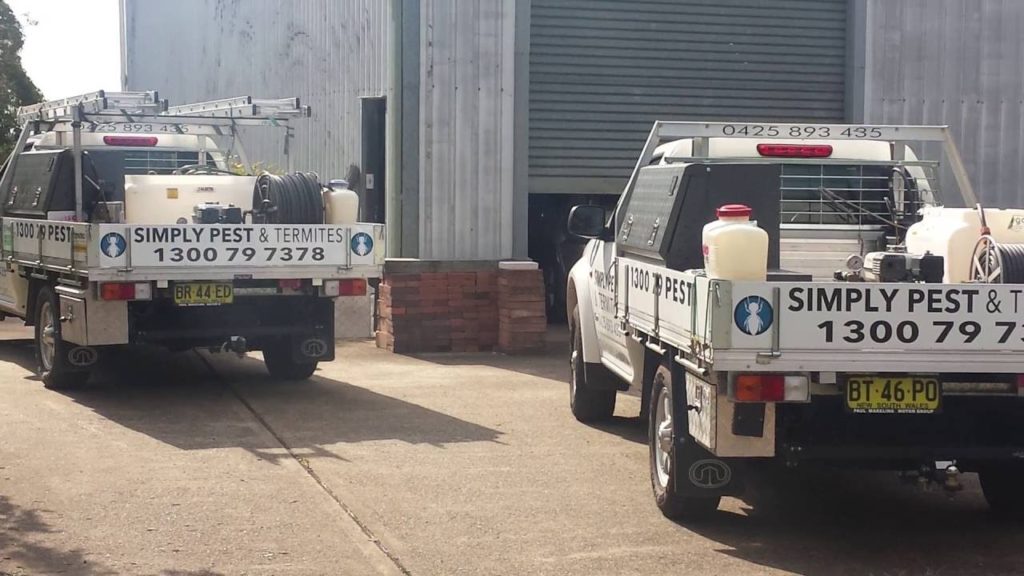 Pest Control Campbelltown Simply Pest & Termites Pest Control Campbelltown Simply Pest & Termites