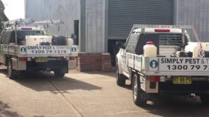 Pest Control Campbelltown - Simply Pest & Termites