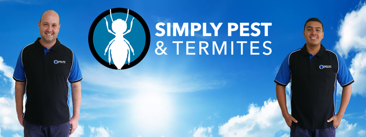Simply Pest and Termites