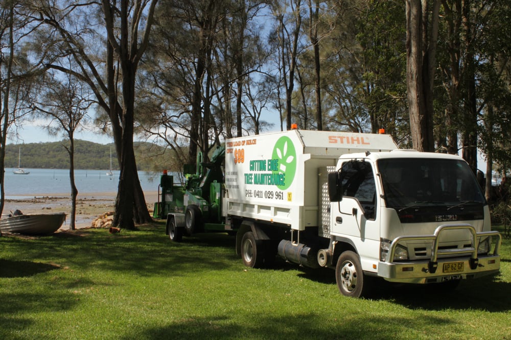 Cutting Edge Tree Maintenance