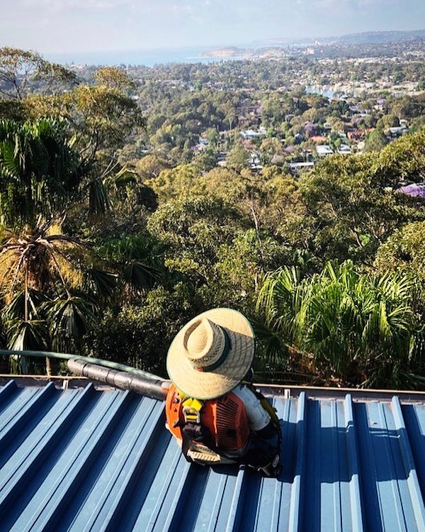 Sydney Gutter Cleaners